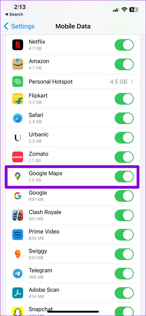 Enable Mobile Data Permission for Google Maps on iPhone