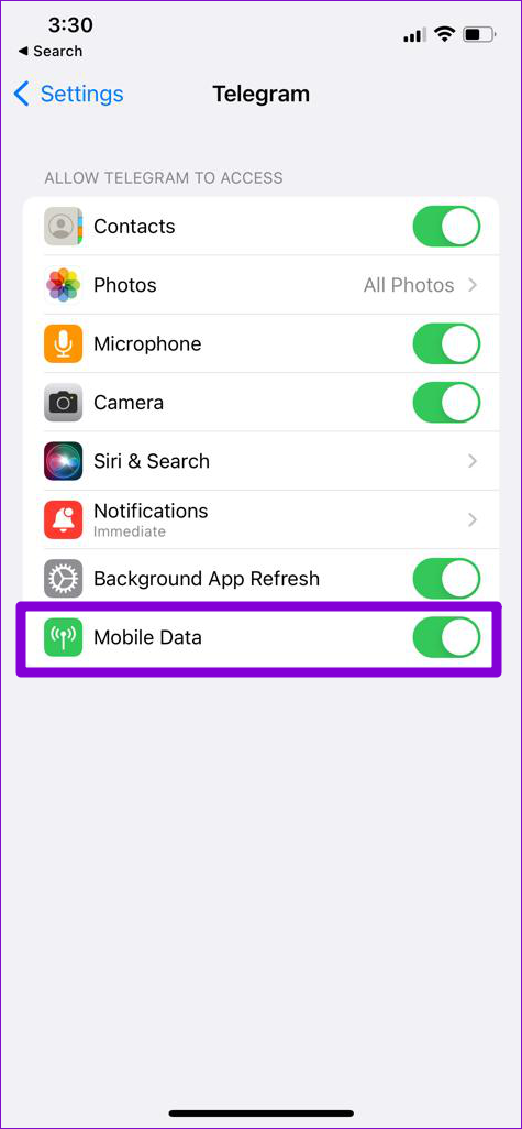 Enable Mobile Data for Telegram on iPhone