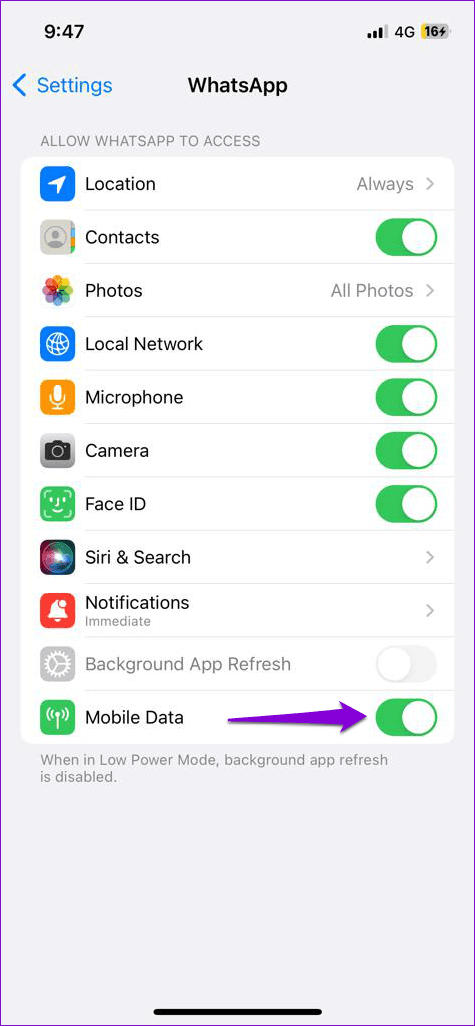 Enable Mobile Data for WhatsApp on iPhone