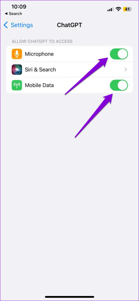 Enable Permissions for ChatGPT App on iPhone 1