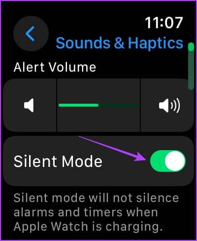 Enable SIlent Mode Apple Watch