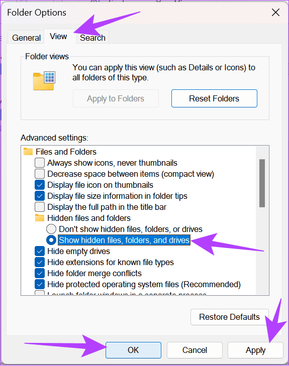 Enable show hidden folders in File Manager
