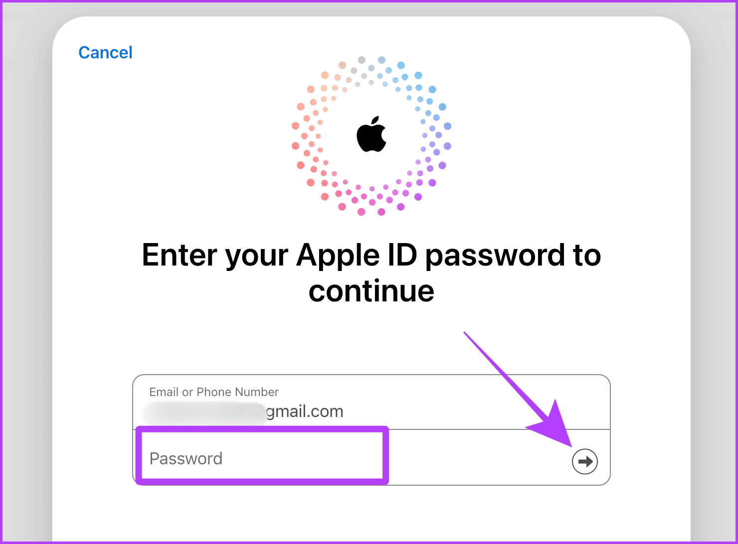 Enter your Password and Erase iPhone