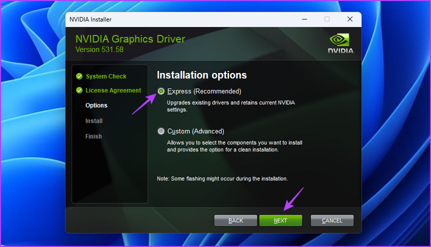 Express option in Nvidia Installer