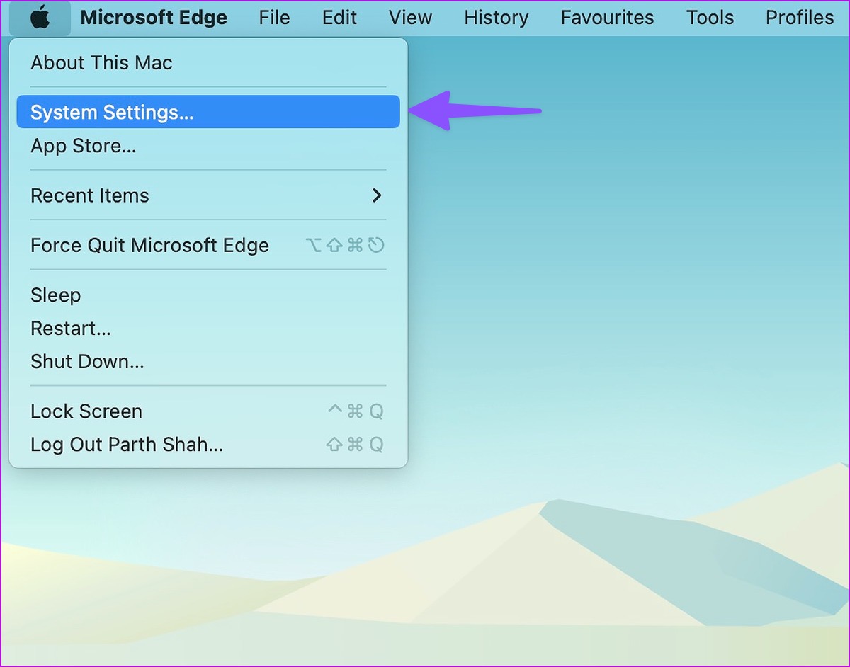 system settings on Mac