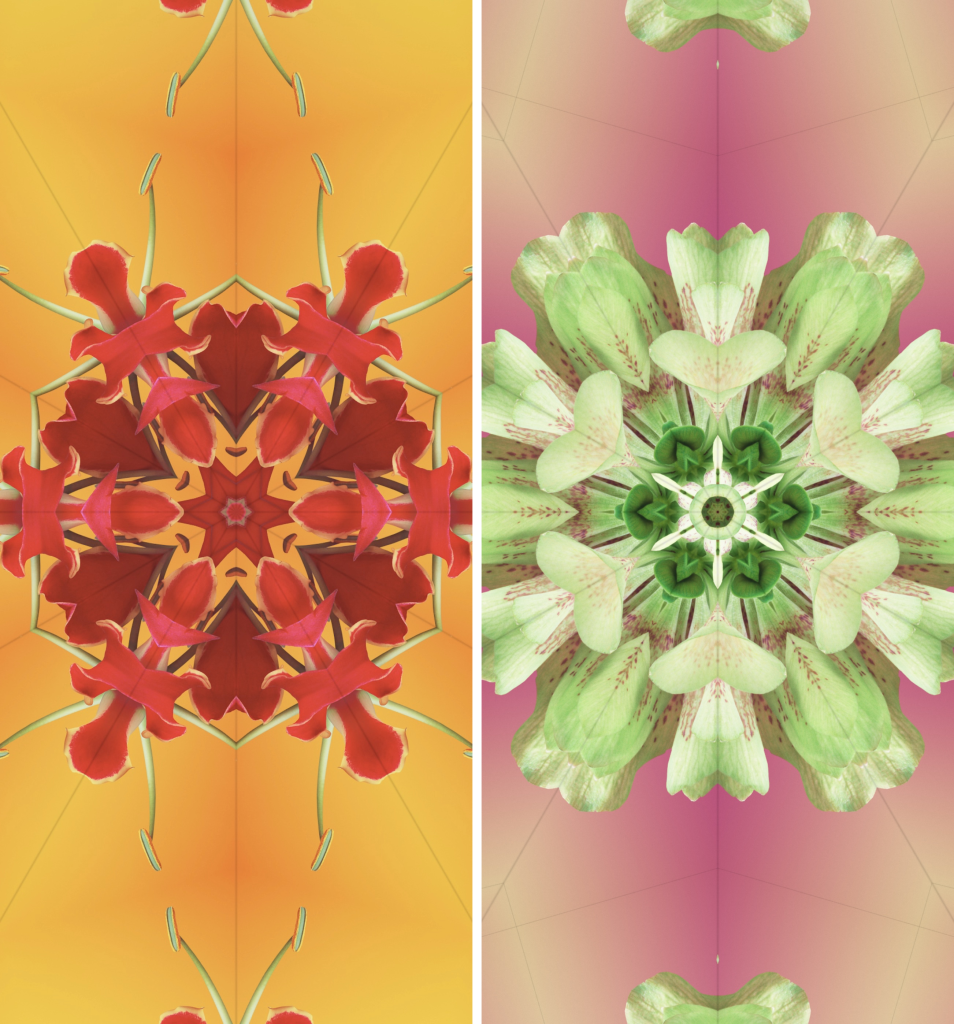 Flower Kaleidoscope iOS 17