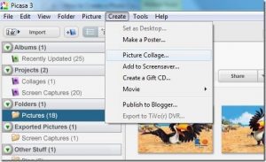 How to Easily Create a Photo Gift CD or DVD With Google Picasa