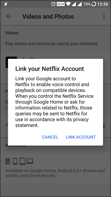 Google Assistant Netflix Policy