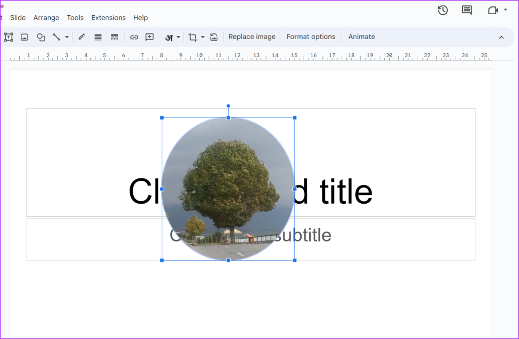 circle image for presentation