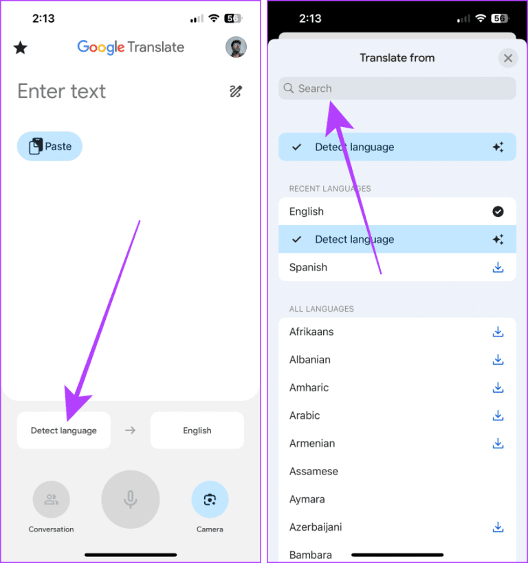 GOOGLE TRANSLATE APP HELP visual data 8