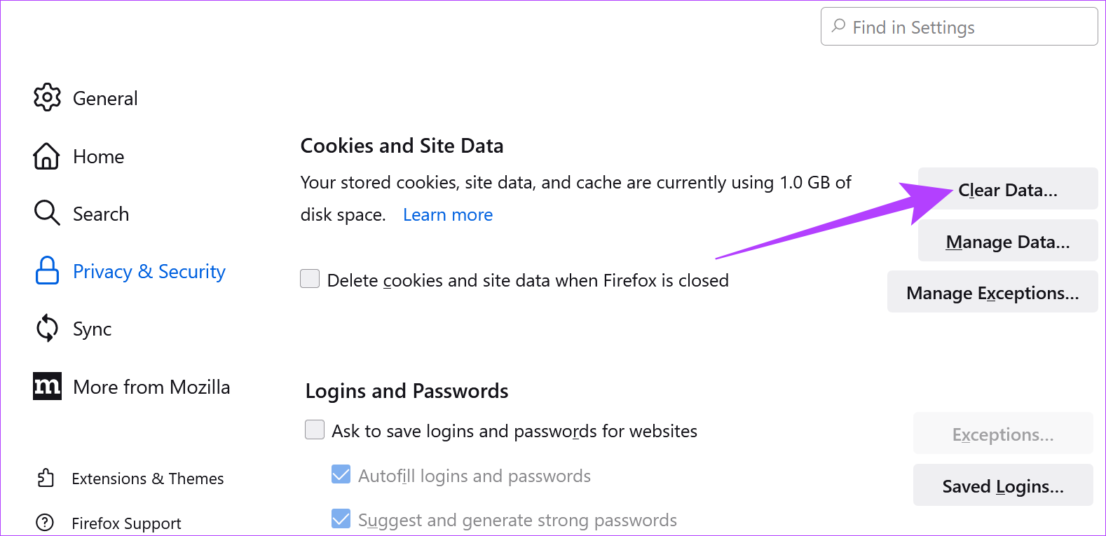 Borrar cookies de Firefox 