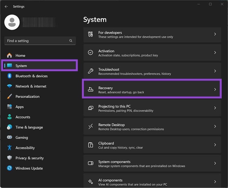 Windows 11 24H2 Crashes 5