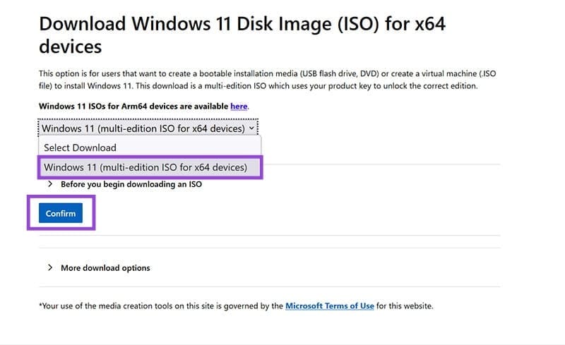 How to Get Windows 11 25H2 if It Doesnt Show in Windows Update 3
