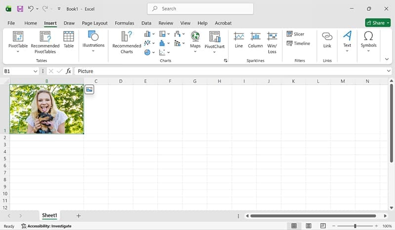 How to Insert a Picture in Excel Cell 2
