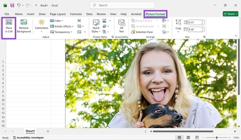 How to Insert a Picture in Excel Cell 4