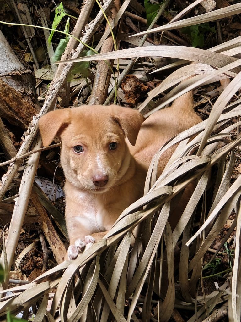 IMG_20240623_094731 - 18