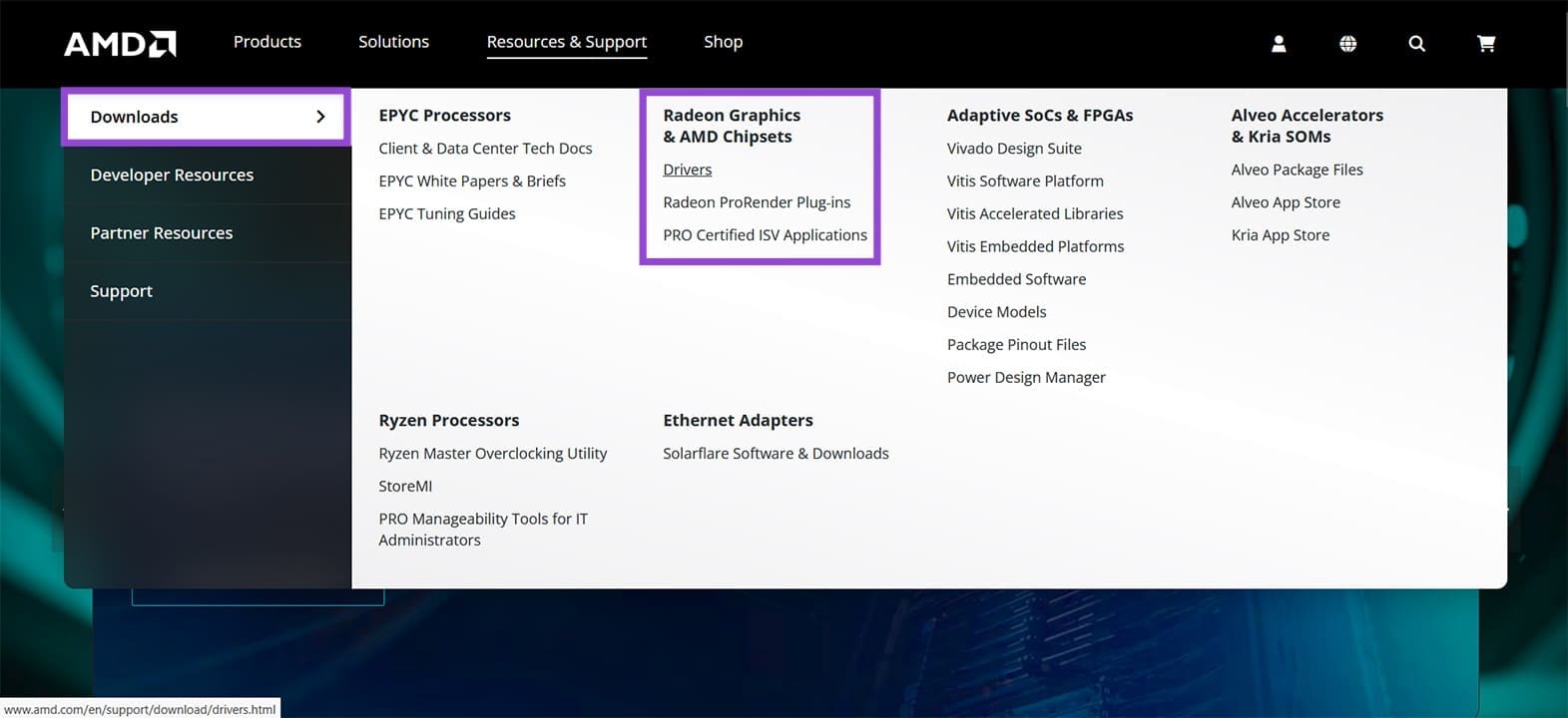 Installing AMD Graphics Driver From Scratch Step by Step 2