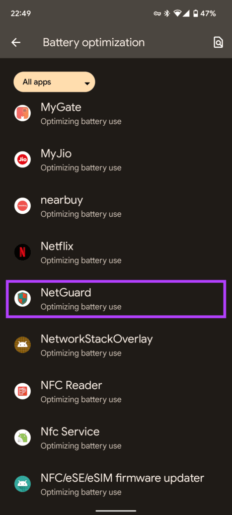 Netguard settings