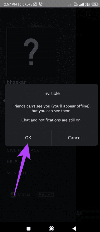 Invisible Steam option confirmation