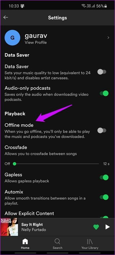 Listen to Spotify Offline on Mobile and Windows 4