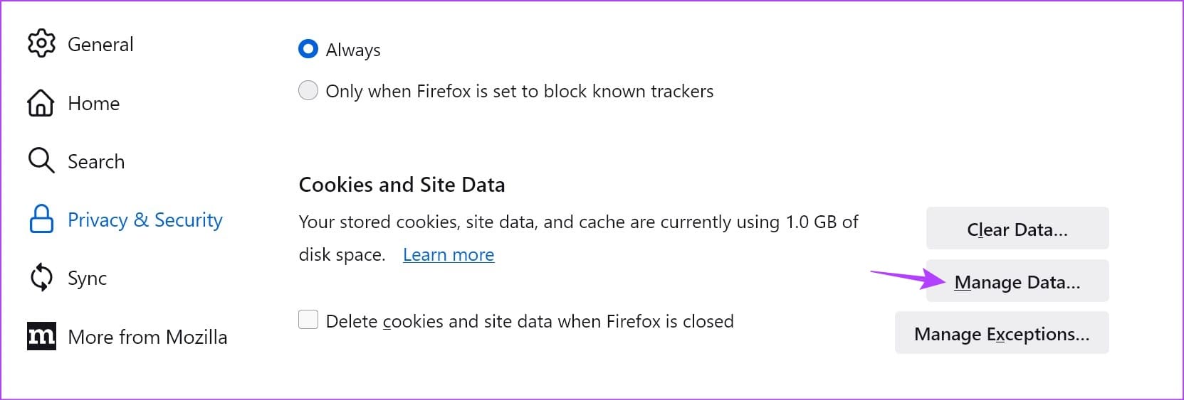 Manage Site data on Firefox 1 - 9