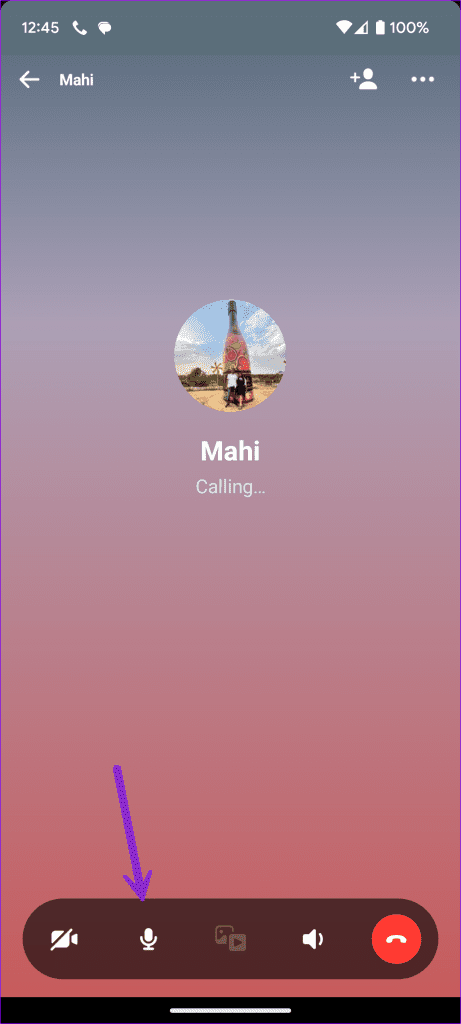 Mute and unmute mic on a call