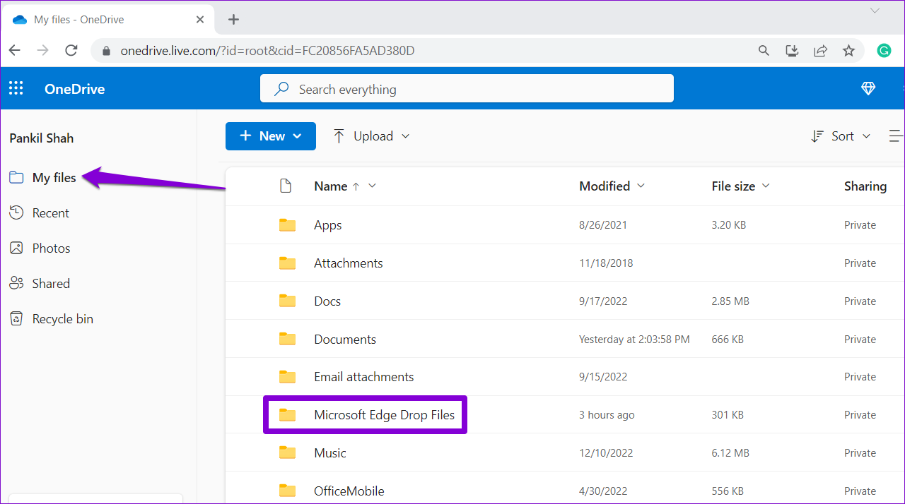 Microsoft Edge Drop Files in OneDrive