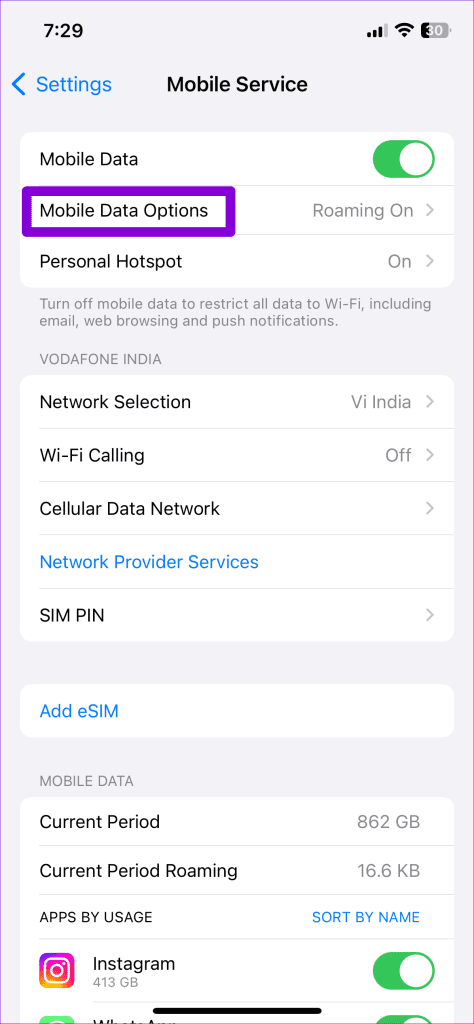 Mobile Data Options on iPhone