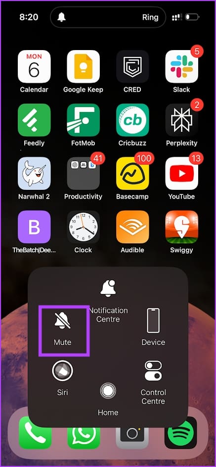 Mute Button Assistive Touch Control