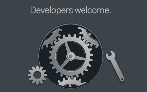 N1 Developers Welcome