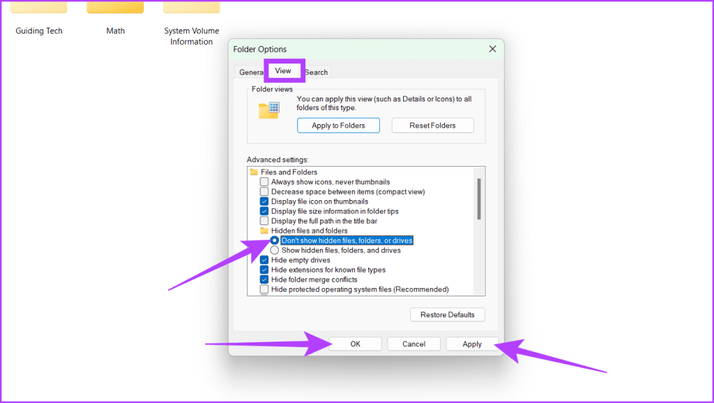 Navigate to the View tab select Dont show hidden files folders or drives click Apply and then press OK