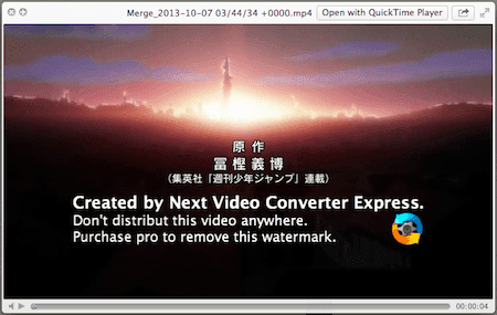Next Video Converter Express Watermark