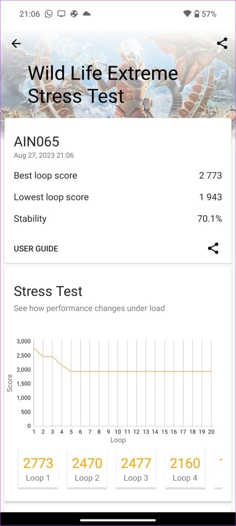 Nothing Phone 2 WildLife Extreme Stress Test