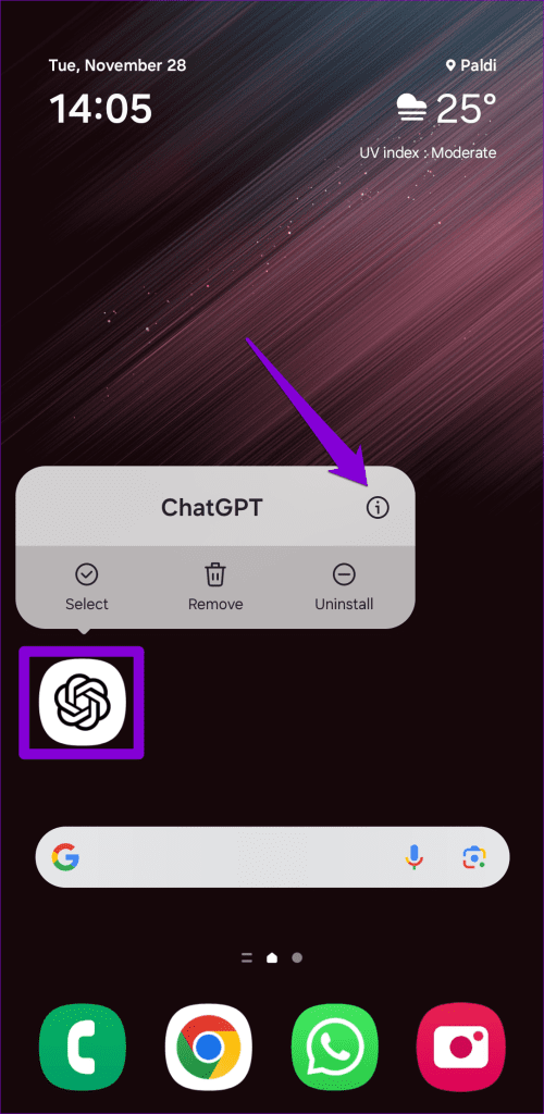 Open ChatGPT App Info