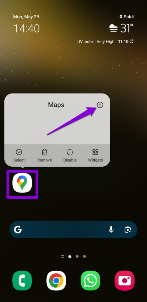 Open Google Maps App Info