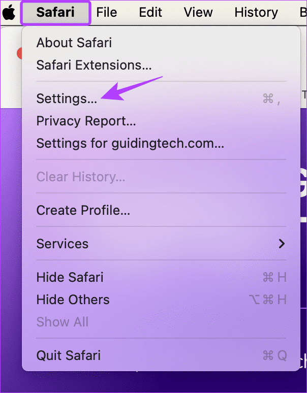 Open Safari settings