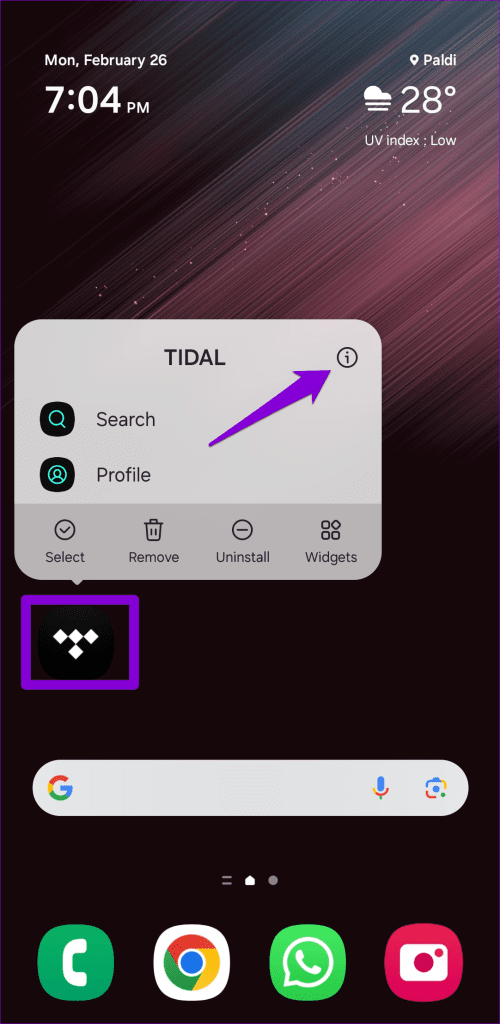 Open Tidal App Info on Android