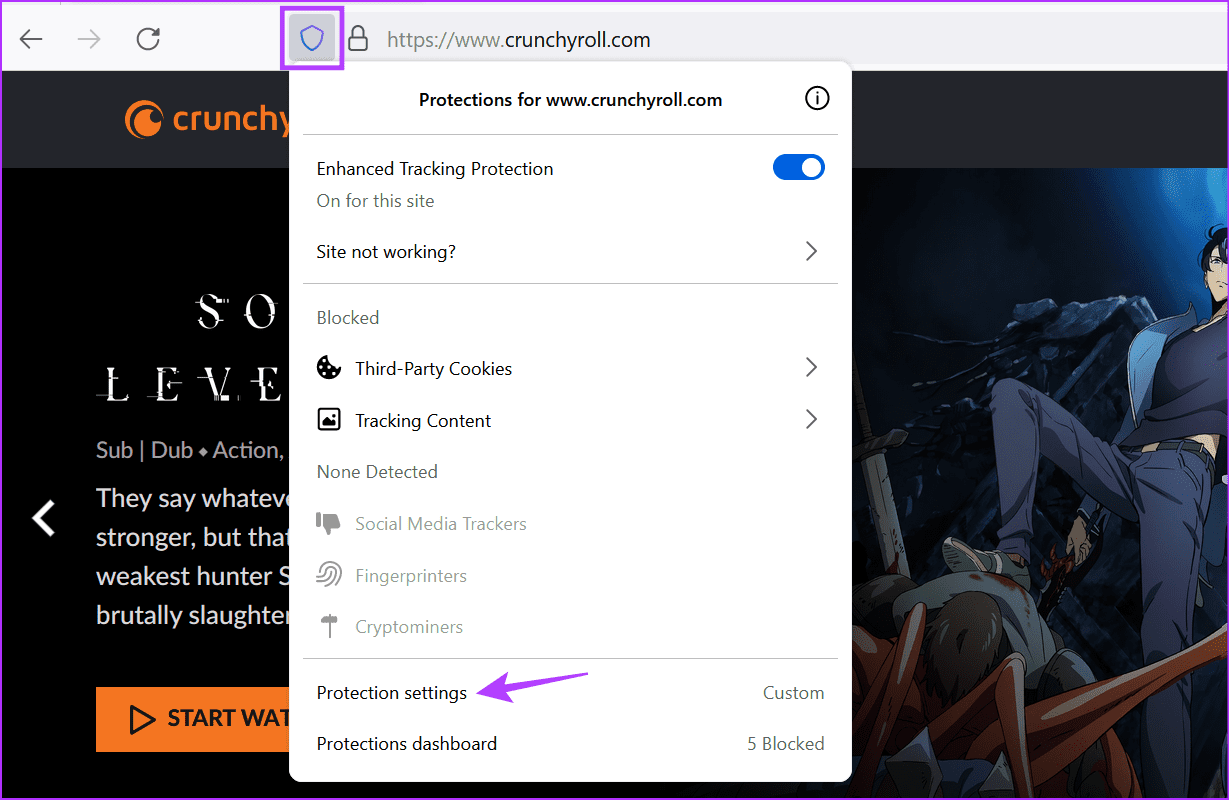 Open protection settings Firefox