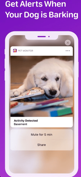 Pet monitor vigi interface