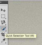 Photoshop Quick Selection Tool