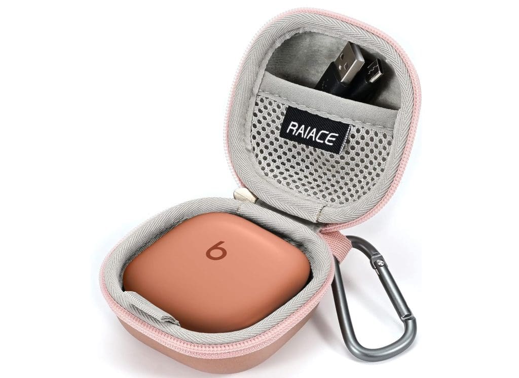 RAIACE Hard Storage Case