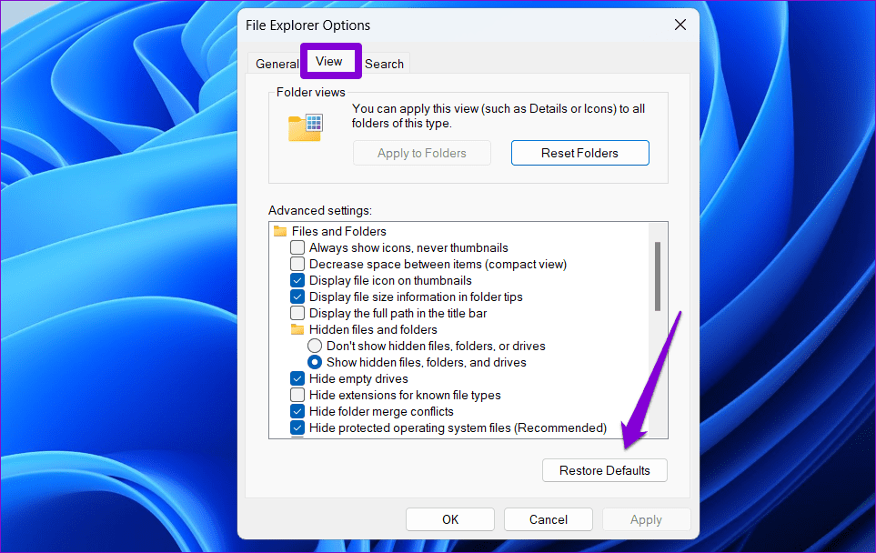 Reset File Explorer View Options