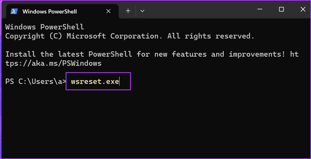 Reset Microsoft Store Using Terminal app