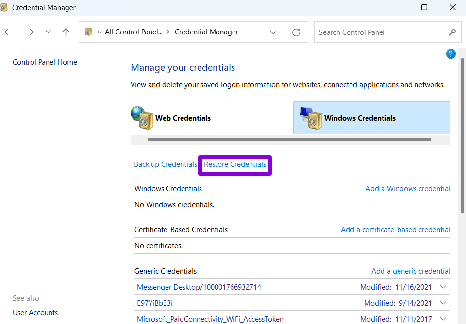 Restore Credentials on Windows Credential Manager