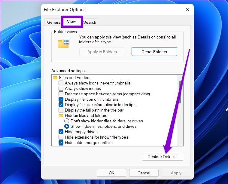 Restore File Explorer Options