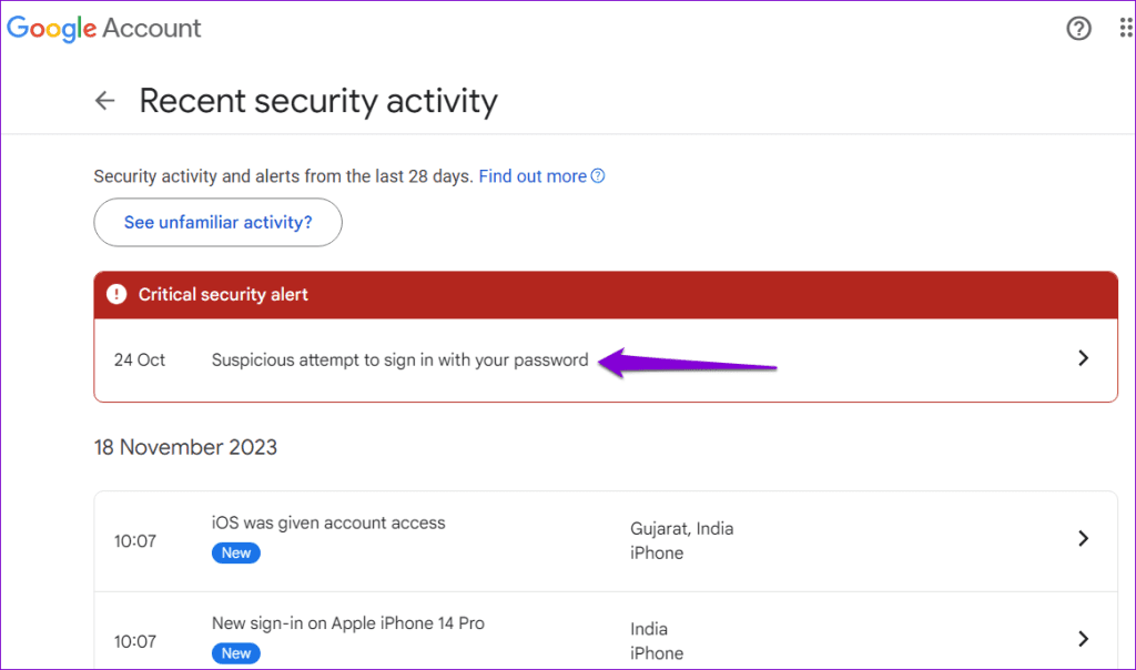 Review Account Login Activity