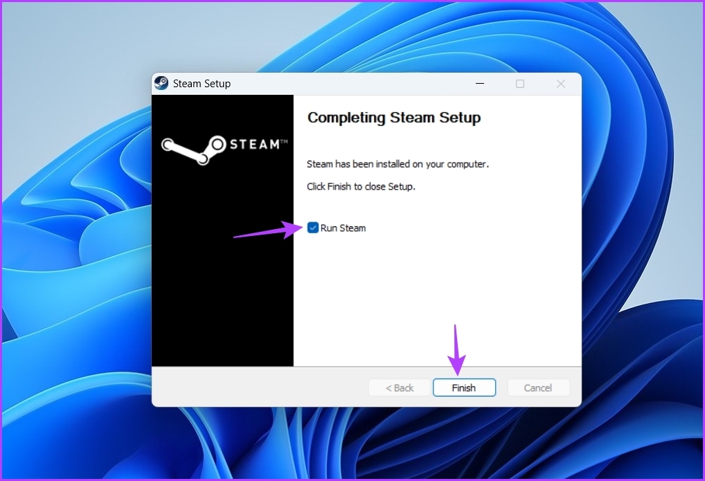 Run Steam option on installation wizard