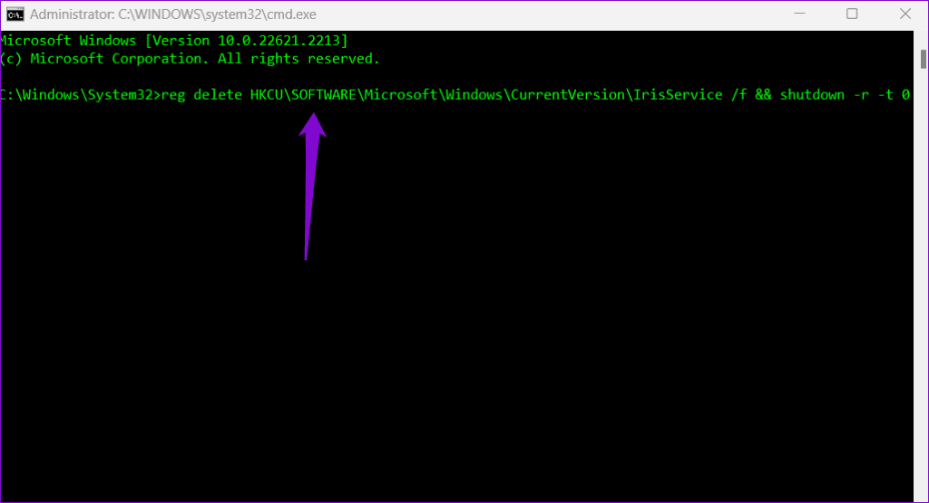 Runnning a Command in Command Prompt