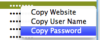 Safari Copy Password