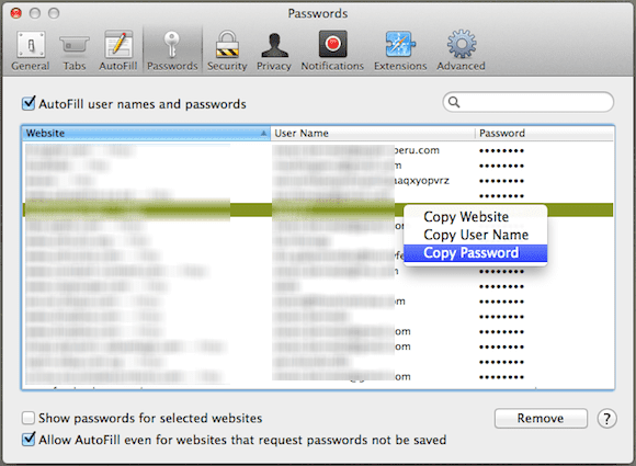 Safari Passwords Tab